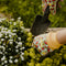 Gardening