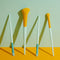 Makeup Tools & Accessories