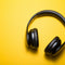 Music Lover