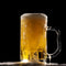 Craft Beer Brewing