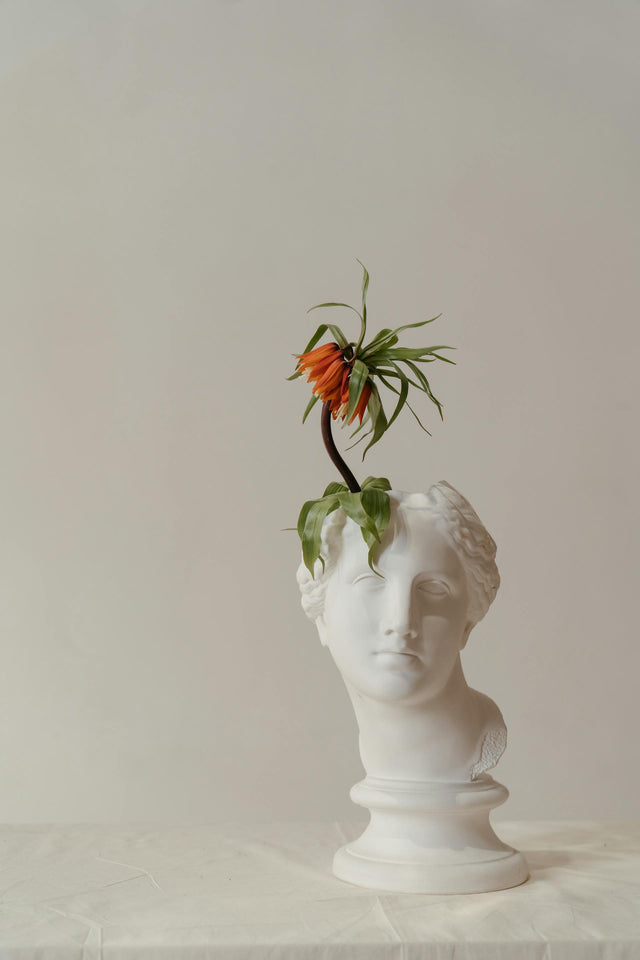 Plastic Arts